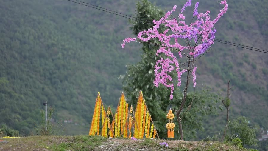 Marigold decor on the hillside (video)